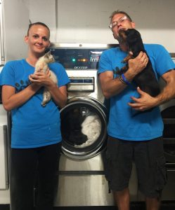 Laundry Owners Warehouse Donates Washer to Pet Rescue Group