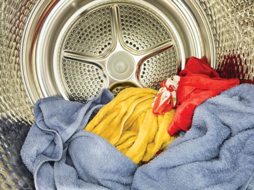 Wash with Wally: Drying Capacity, Business Hours, and More…